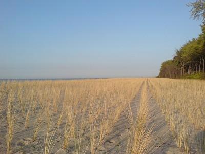 Appartamento Glebbe 66 _ Hus Suennschien Zingst Esterno foto