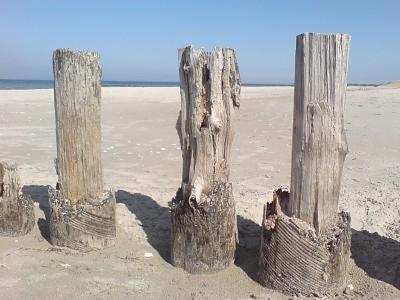 Appartamento Glebbe 66 _ Hus Suennschien Zingst Esterno foto