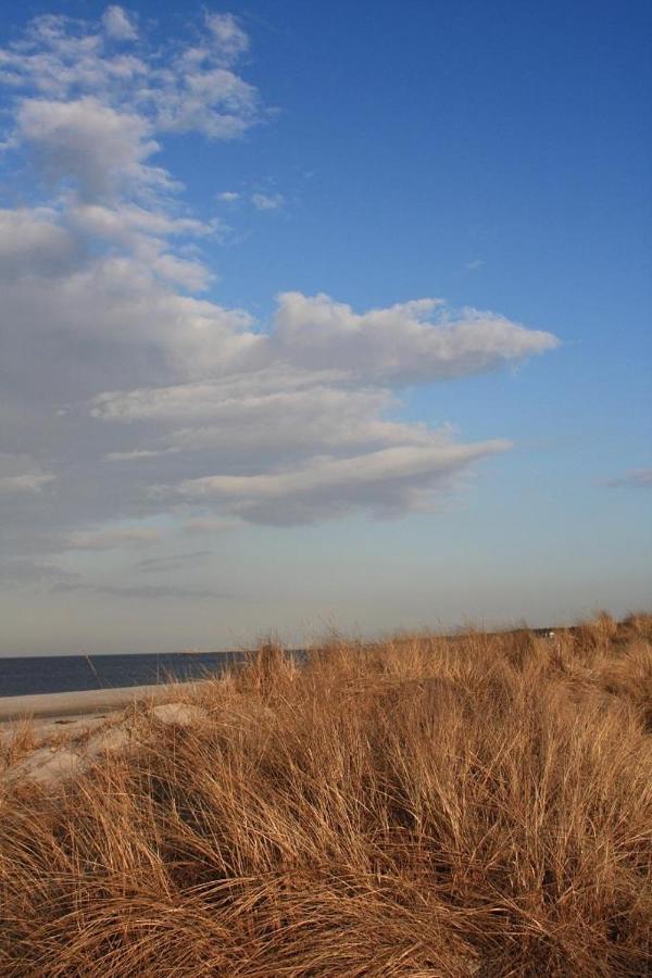 Appartamento Glebbe 66 _ Hus Suennschien Zingst Esterno foto